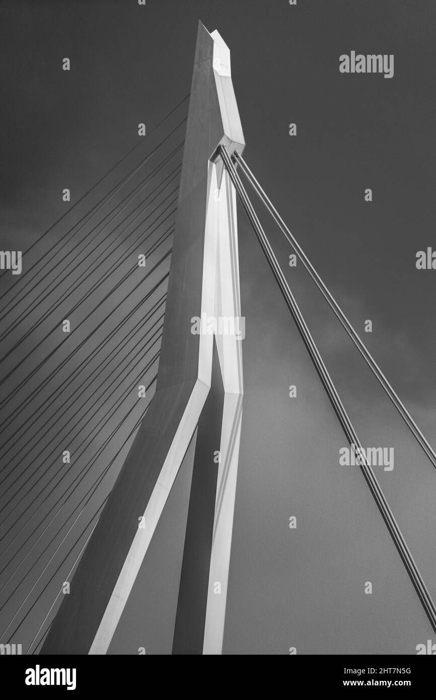 Scatto verticale in scala di grigi di un ponte con cavi a Rotterdam Foto Stock