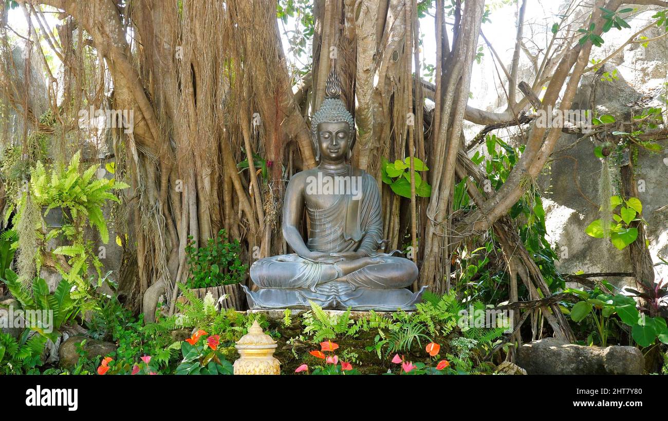 Statua di Buddha tra alberi tropicali e banyan sul territorio del Tempio Bianco Foto Stock