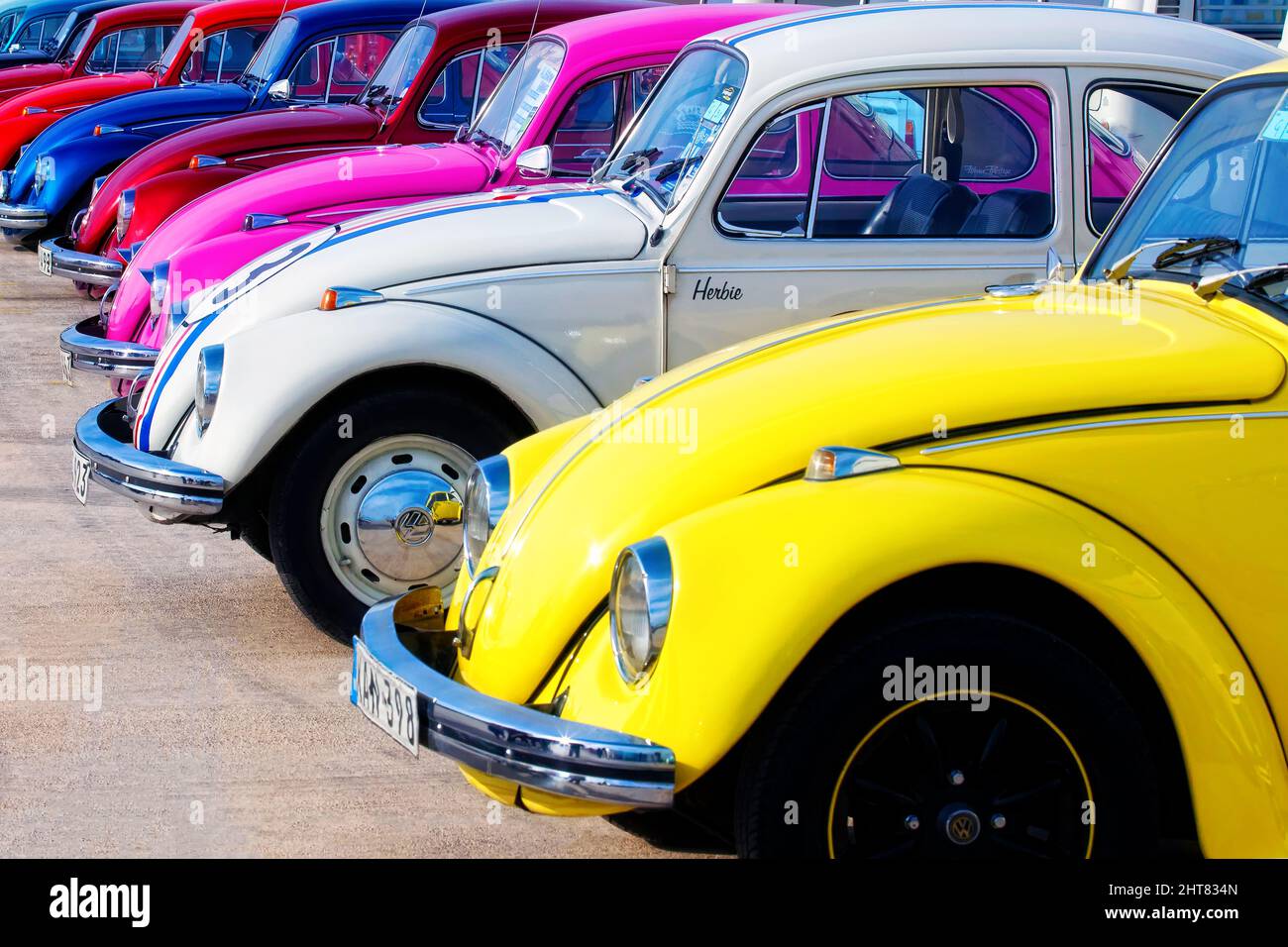 Auto Bug Colourful Classic VW Beetle Foto Stock