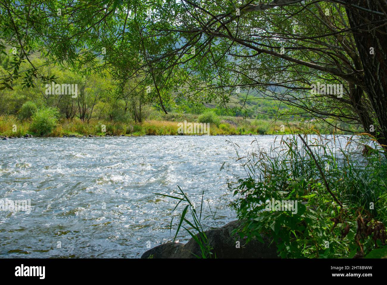 in georgia scorre un fiume di montagna molto tempestoso Foto Stock