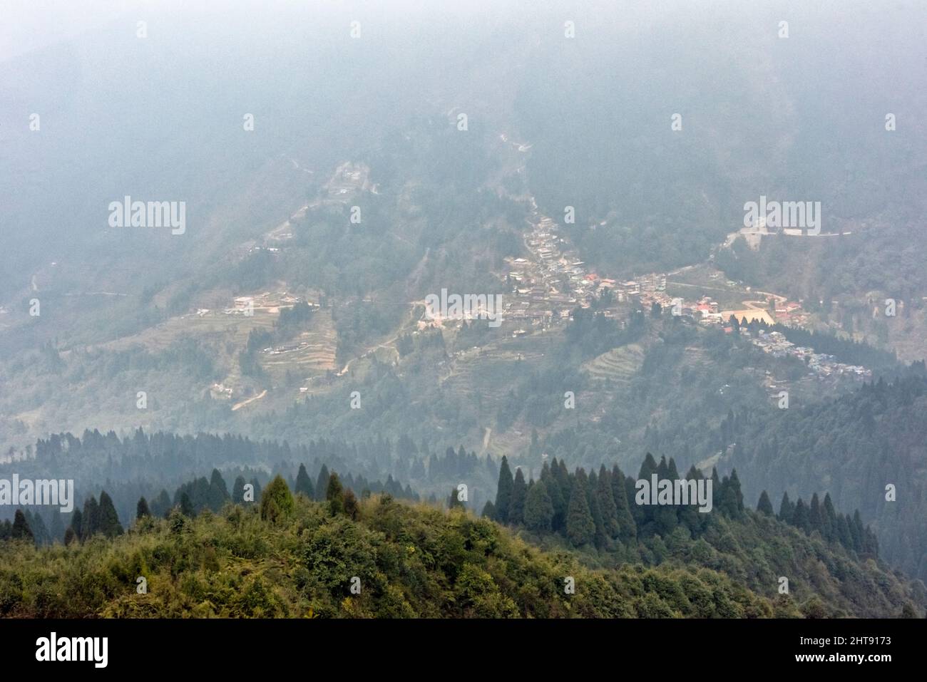 Darjeeling sulla collina, Bengala Occidentale, India Foto Stock