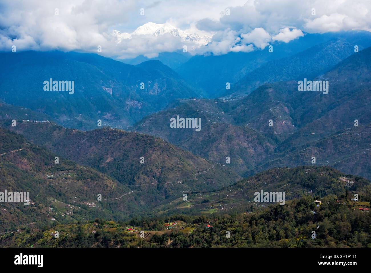 Abbattimento in Himalaya, Pelling, Sikkim, India Foto Stock