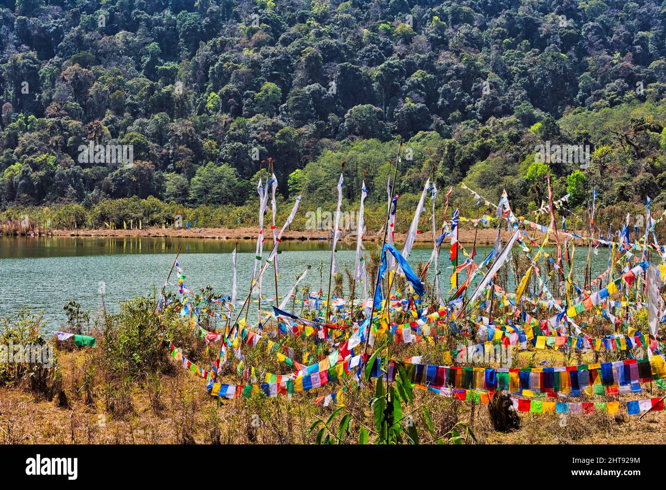 Bandiere di preghiera sulla riva del lago Santo di Khecheopalri, Sikkim occidentale, India Foto Stock