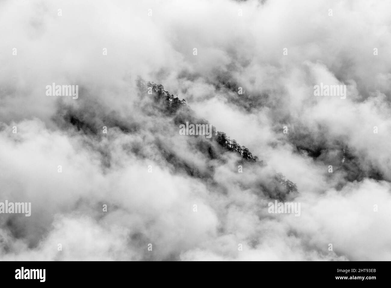 Montagna coperta di nebbia, Lachung, Sikkim, India Foto Stock