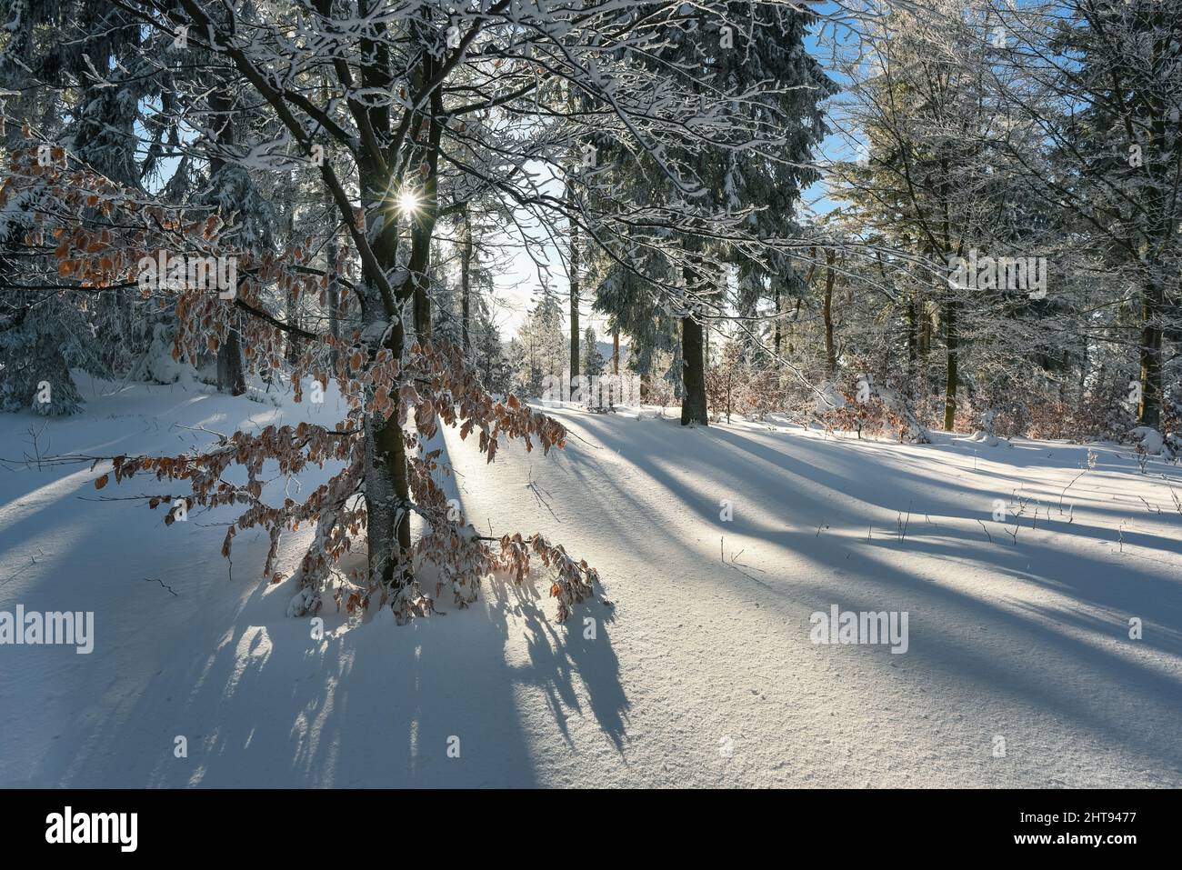 Montagne Beskids in inverno, la regione turistica polacca è la Slesia, vicino Bielsko-Biala Foto Stock