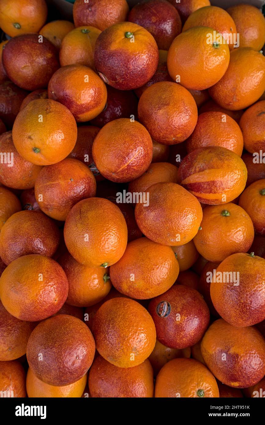Primo piano di una scatola di arance di sangue - agrumi x sinensis. Foto Stock