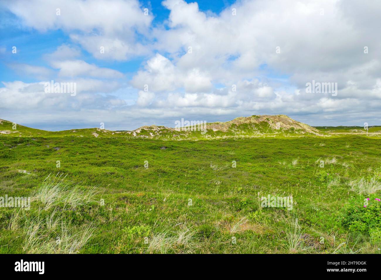 Impressione di Sylt, parte delle Isole Frisone del Nord in Germania Foto Stock