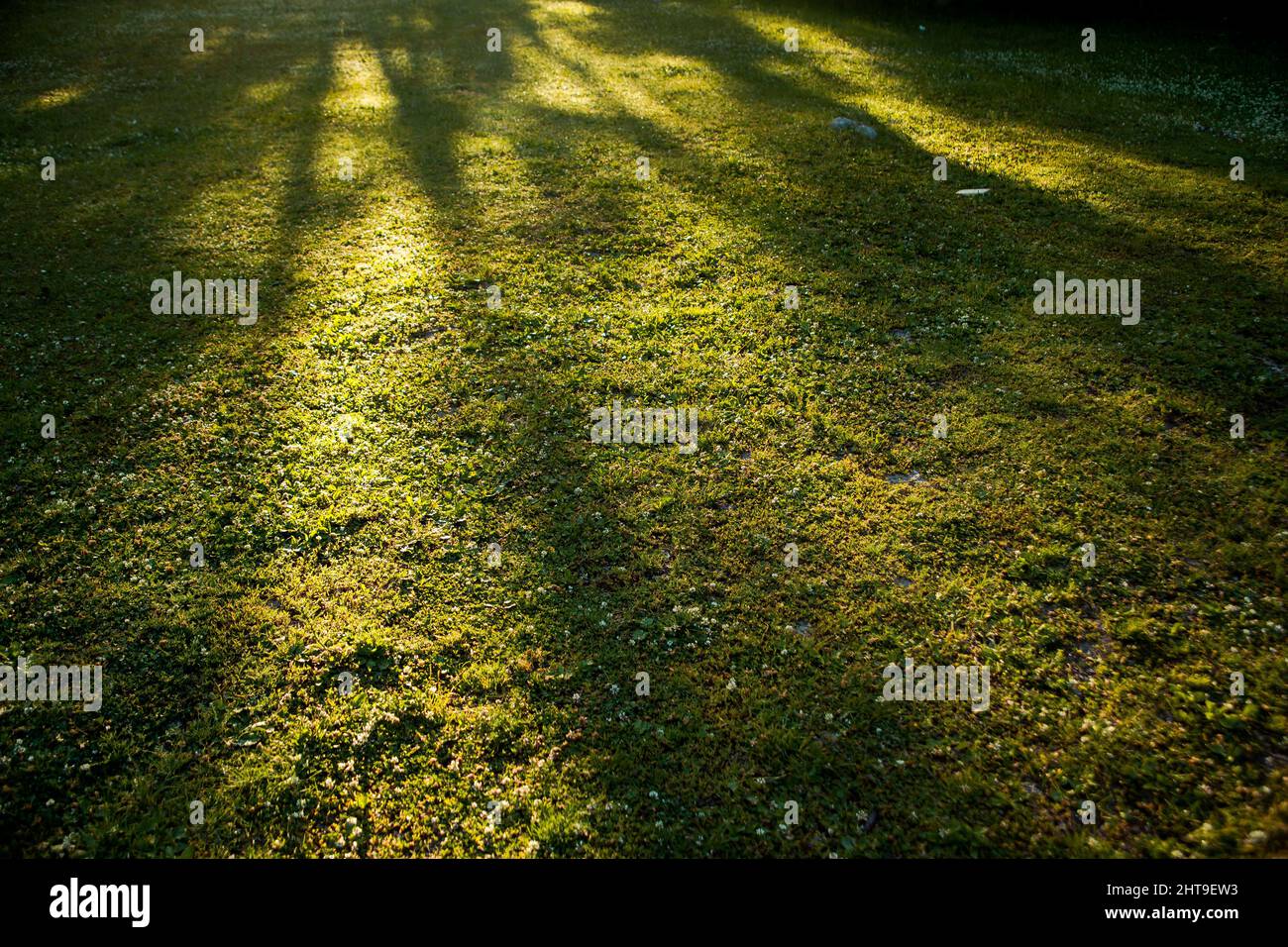 Vista aerea delle ombre sulle praterie verdi nel villaggio di Hemu in Cina Foto Stock