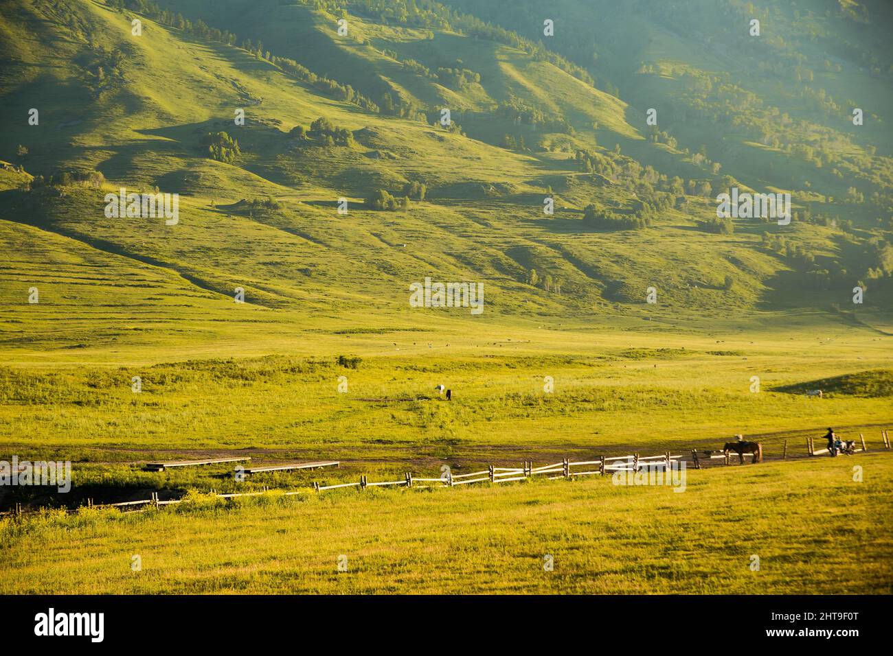 Vista aerea delle praterie verdi nel villaggio di Hemu in Cina Foto Stock