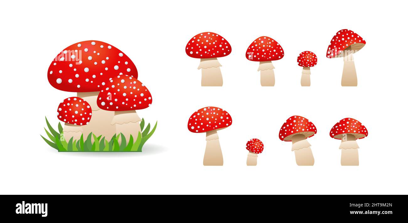 Grande set funghi toadsgool cute. Funghi non commestibili. Illustrazione vettoriale Illustrazione Vettoriale