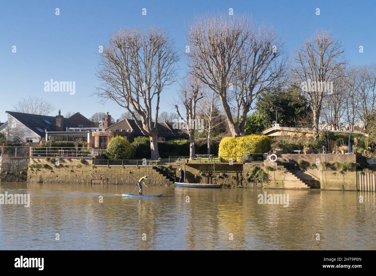 paddle boarding sul fiume tamigi Foto Stock