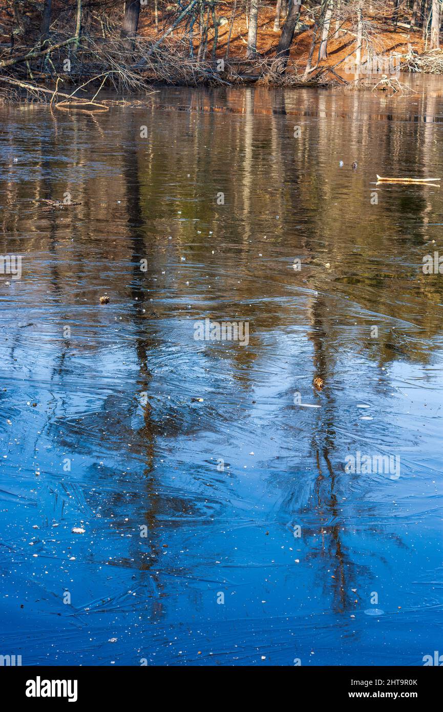 Riflessi di alberi sulla superficie di uno stagno ghiacciato con cristalli di ghiaccio. Echo Pond, Rocky Woods, Medfield, Massachusetts, USA Foto Stock