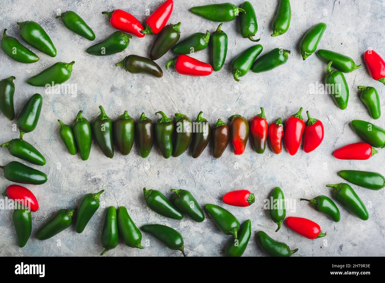 Gradiente di Jalapeno Chili Peppers su cemento leggero sfondo. Vista dall'alto Foto Stock