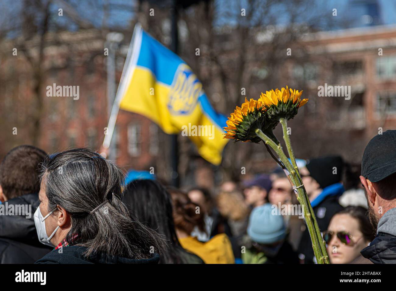 New York, Stati Uniti. 27th Feb 2022. Centinaia di persone si riuniscono nel Washington Square Park di Manhattan per denunciare l'invasione russa e dimostrare il loro sostegno agli Stati Uniti. (Foto di Michael Nigro/Pacific Press) Credit: Pacific Press Media Production Corp./Alamy Live News Foto Stock