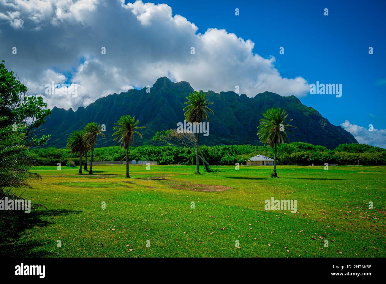 Bella vista delle montagne e delle palme in Ahupua'a 'o Kahana state Park, Oahu Hawaii Foto Stock