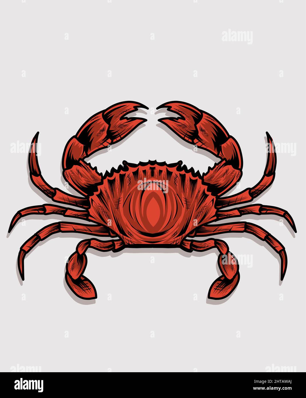Illustrazione del granchio vettoriale su sfondo bianco Illustrazione Vettoriale