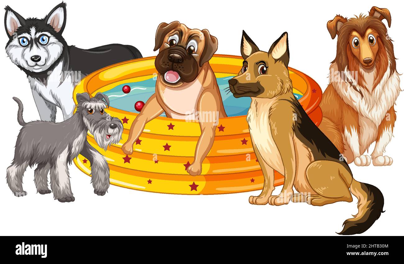 Cinque cani che giocano presso la piscina illustrazione Illustrazione Vettoriale
