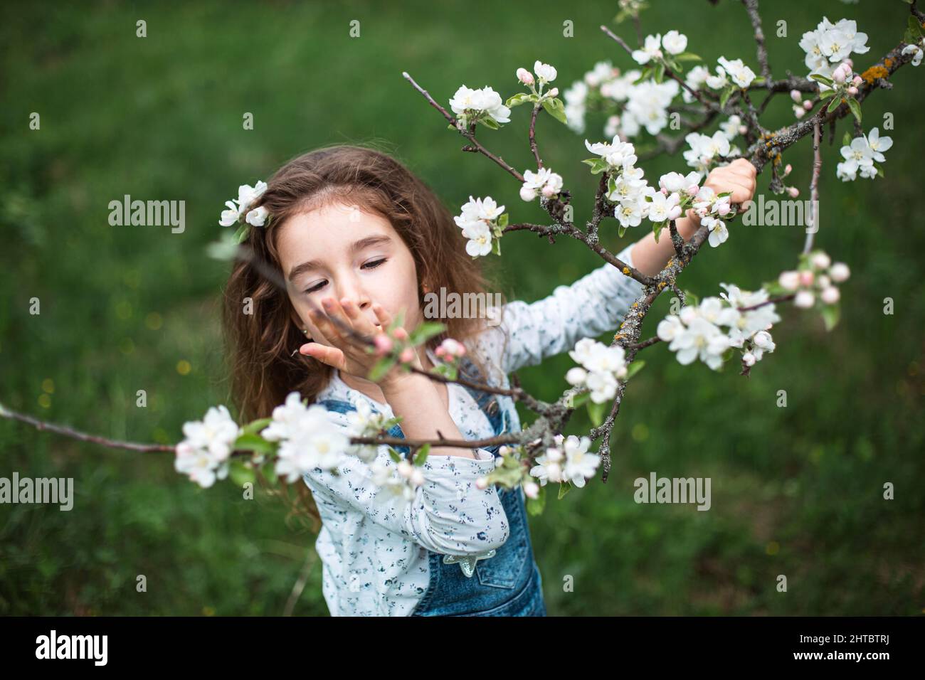 Una bambina carina di 5 anni in un frutteto di mela bianco fiorente in primavera. Primavera, frutteto, fioritura, allergia, profumo primaverile, tenerezza, Foto Stock