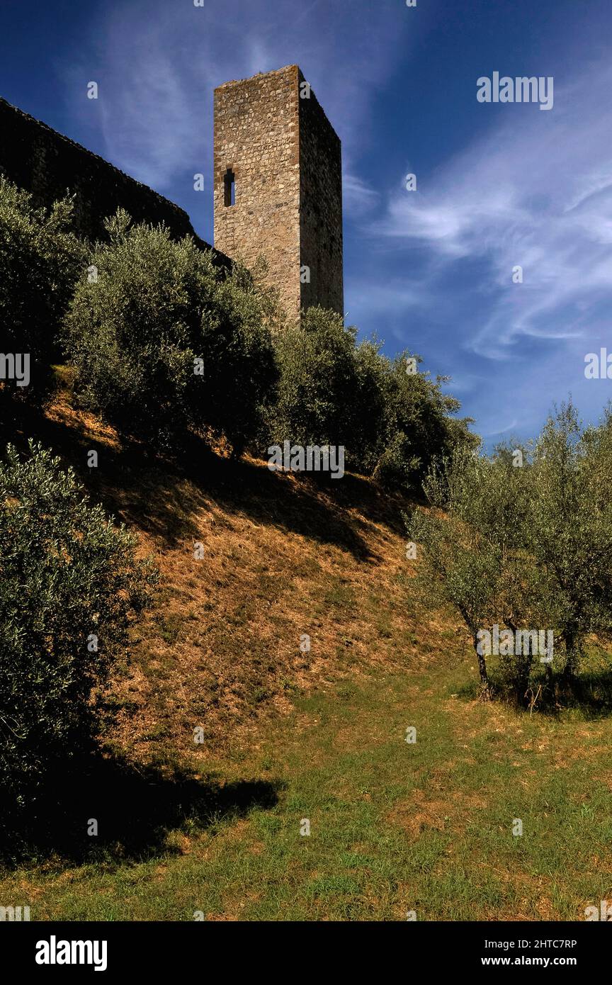 La torre di avvistamento medievale sorge sopra gli ulivi a Monteriggioni in Toscana, una cittadina collinare circondata da spesse mura difensive e 14 torri di avvistamento, costruita nel 1300 da Siena come protezione dei suoi confini contro la sua rivale amara Firenze. Foto Stock