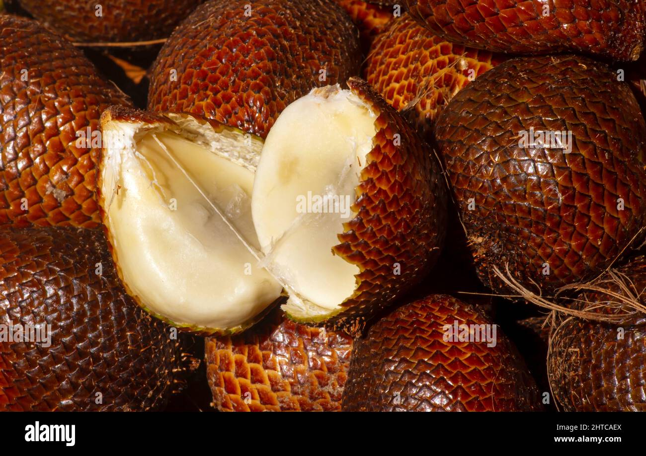 Frutta di Salak matura (Salacca edulis o Salacca zalacca) conosciuta come frutta di serpente o frutta di pelle di serpente Foto Stock
