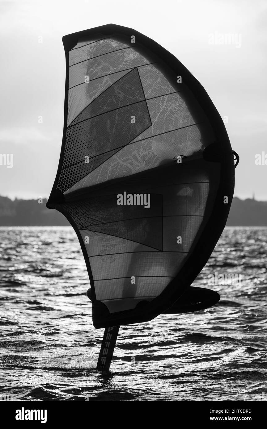 Scatto verticale di una bellissima tavola da windsurf sul Mar Baltico, in scala di grigi. Foto Stock
