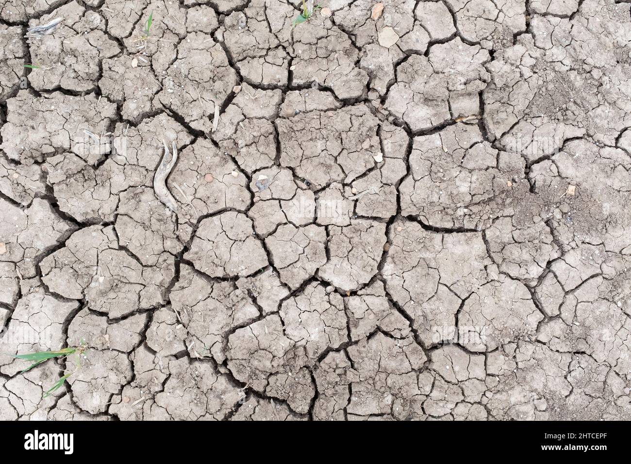 Fondo, struttura o pattern del concetto di riscaldamento globale. Terra secca incrinata con crepe nel fango in un campo Foto Stock