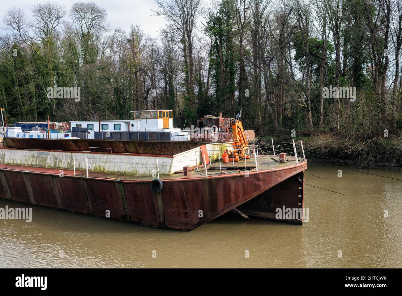 Barche da lavoro ormeggiate da Isleworth Ait, sul Tamigi, Londra, Inghilterra Foto Stock