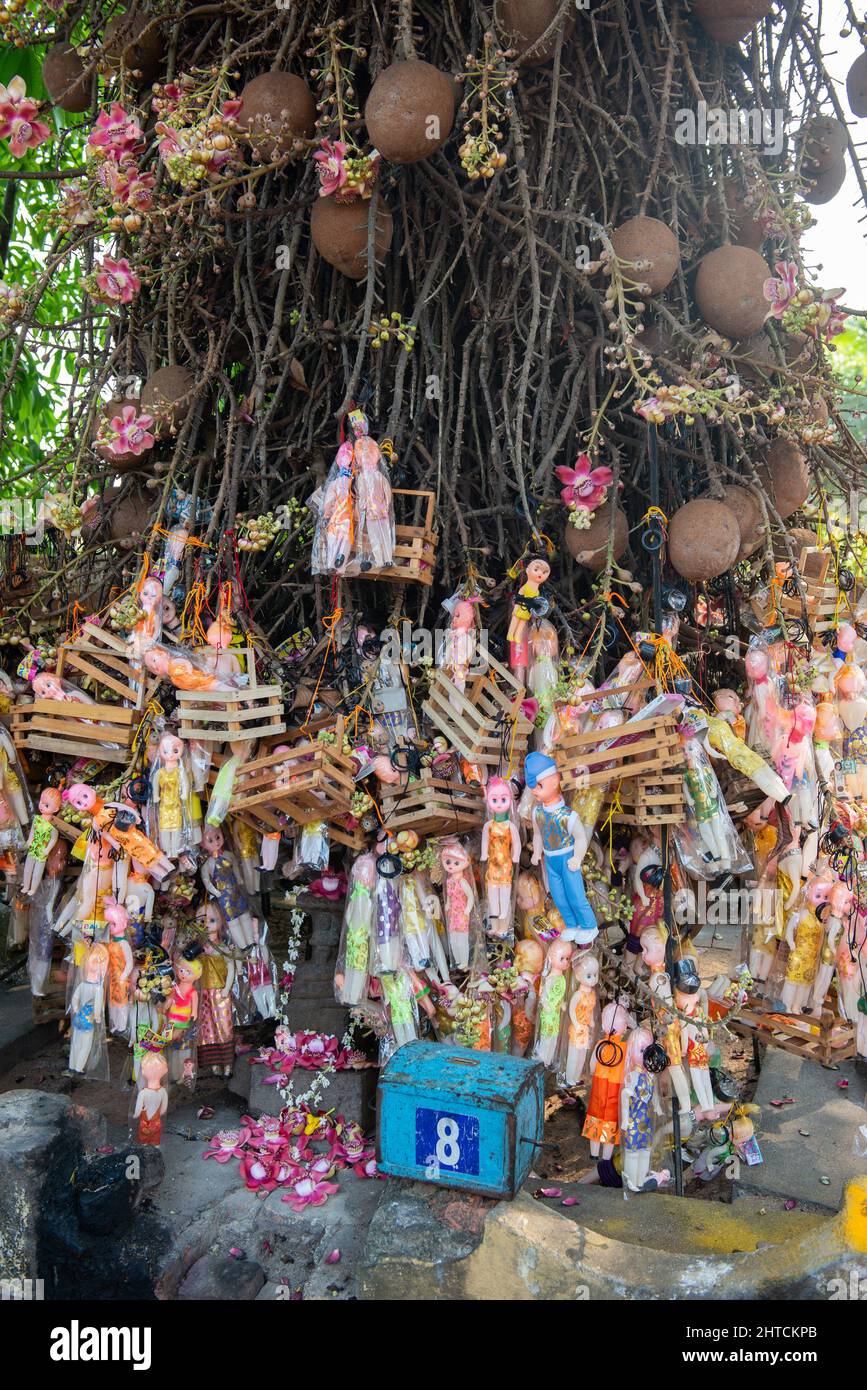 Varkala, India - Gennaio 2022: Albero dei desideri nel Tempio di Janardanaswamy. Molte bambole e scatole sono appesi in un albero all'interno del tempio, come offerta da w Foto Stock