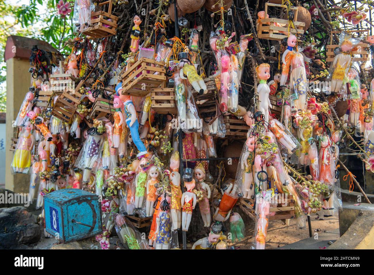 Varkala, India - Gennaio 2022: Albero dei desideri nel Tempio di Janardanaswamy. Molte bambole e scatole sono appesi in un albero all'interno del tempio, come offerta da w Foto Stock Varkala, India - Gennaio 2022: Albero dei desideri nel Tempio di Janardanaswamy. Molte bambole e scatole sono appesi in un albero all'interno del tempio, come offerta da w Foto Stock