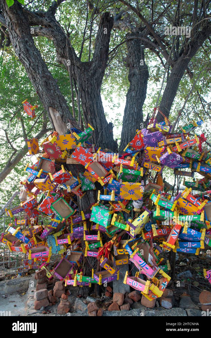 Trichy, India - Gennaio 2022: Albero dei desideri all'interno del Tempio del Forte di Rock. Molte scatole sono appese in un albero all'interno del tempio, come un modo per consegnare le persone Foto Stock Trichy, India - Gennaio 2022: Albero dei desideri all'interno del Tempio del Forte di Rock. Molte scatole sono appese in un albero all'interno del tempio, come un modo per consegnare le persone Foto Stock