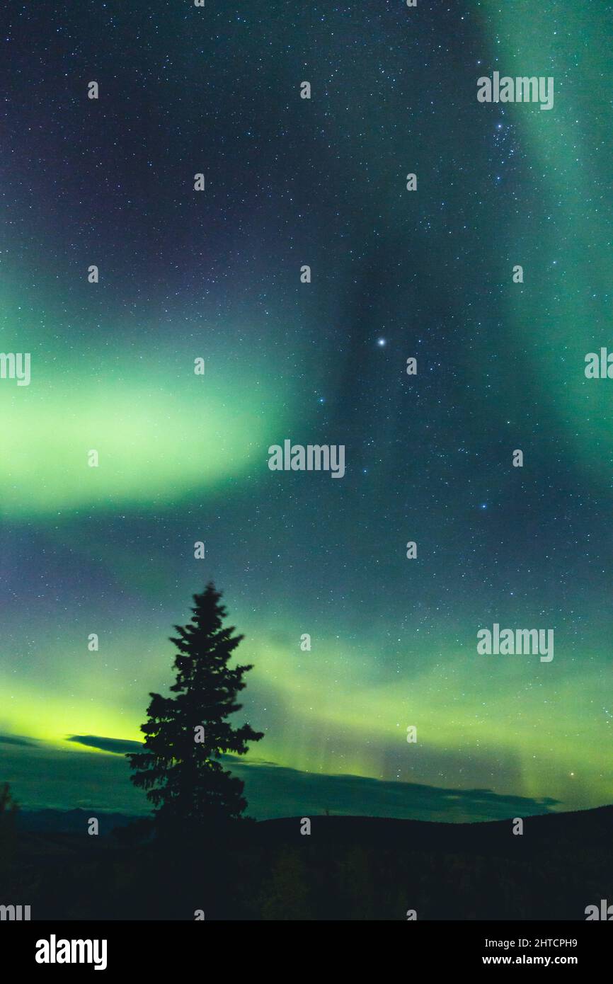 Una bella vista notturna dell'aurora boreale in Canada Foto Stock
