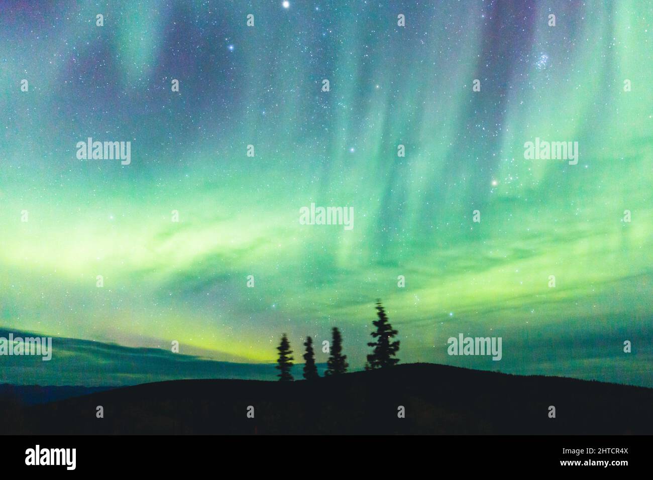 Una bella vista notturna dell'aurora boreale in Canada Foto Stock