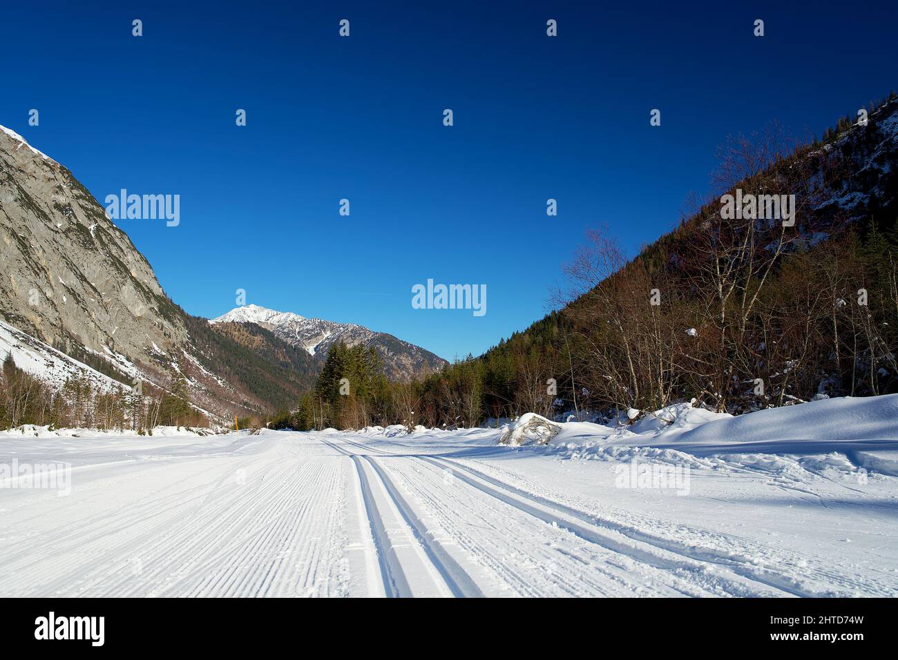 Pista da sci di fondo in una giornata di sole Foto Stock