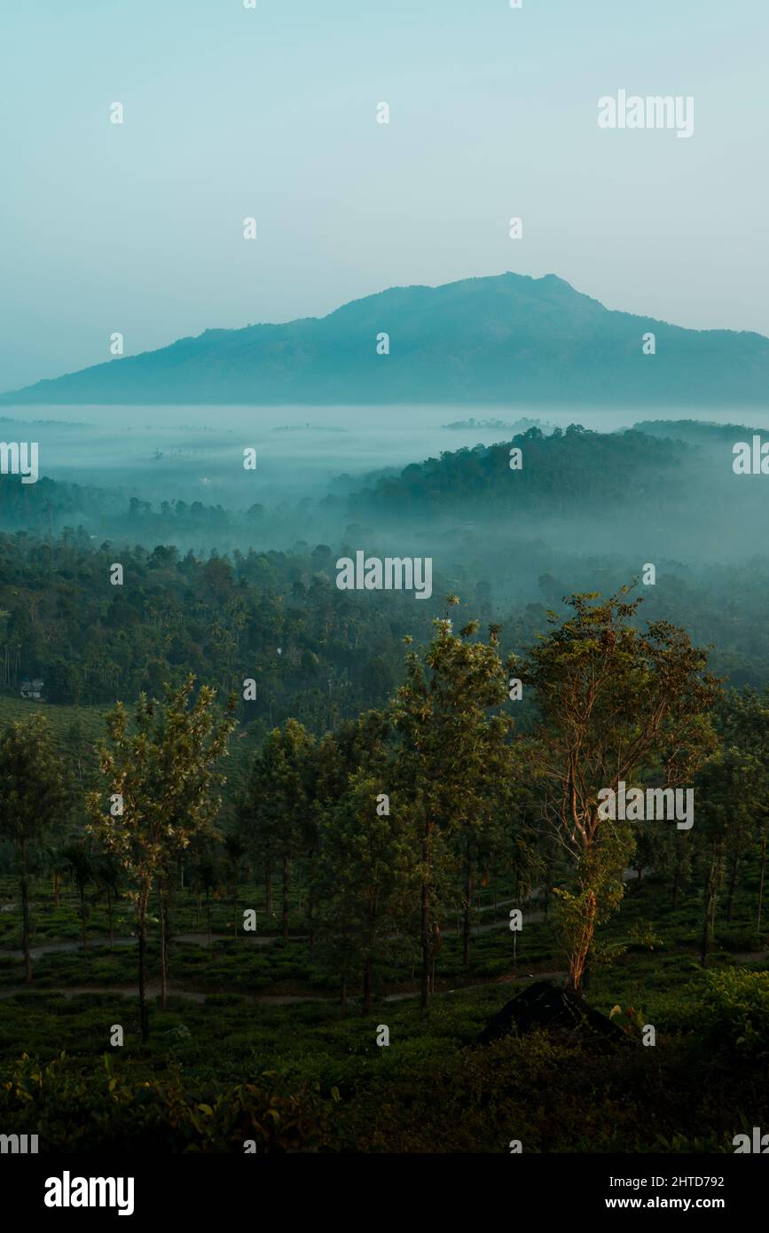 Misty mattina vista montagna da Chembra Peak Wayanad Kerala, bellissimo paesaggio naturale verticale Foto Stock