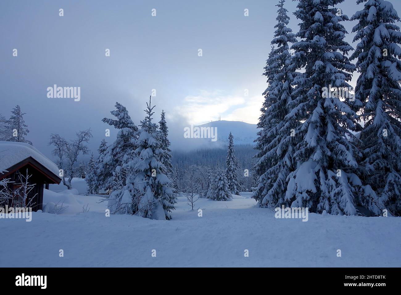 Inverno in una Norvegia artica e congelata Foto Stock