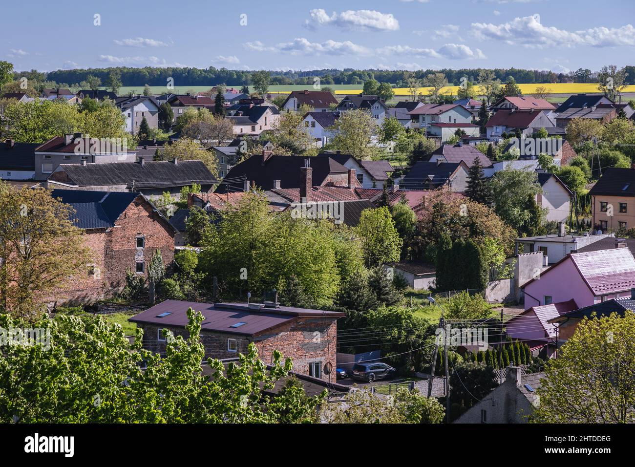 Case nel villaggio di Tworkow nel distretto amministrativo di Gmina Krzyzanowice, all'interno della contea di Raciborz, Voivodato silesiano, Polonia meridionale Foto Stock