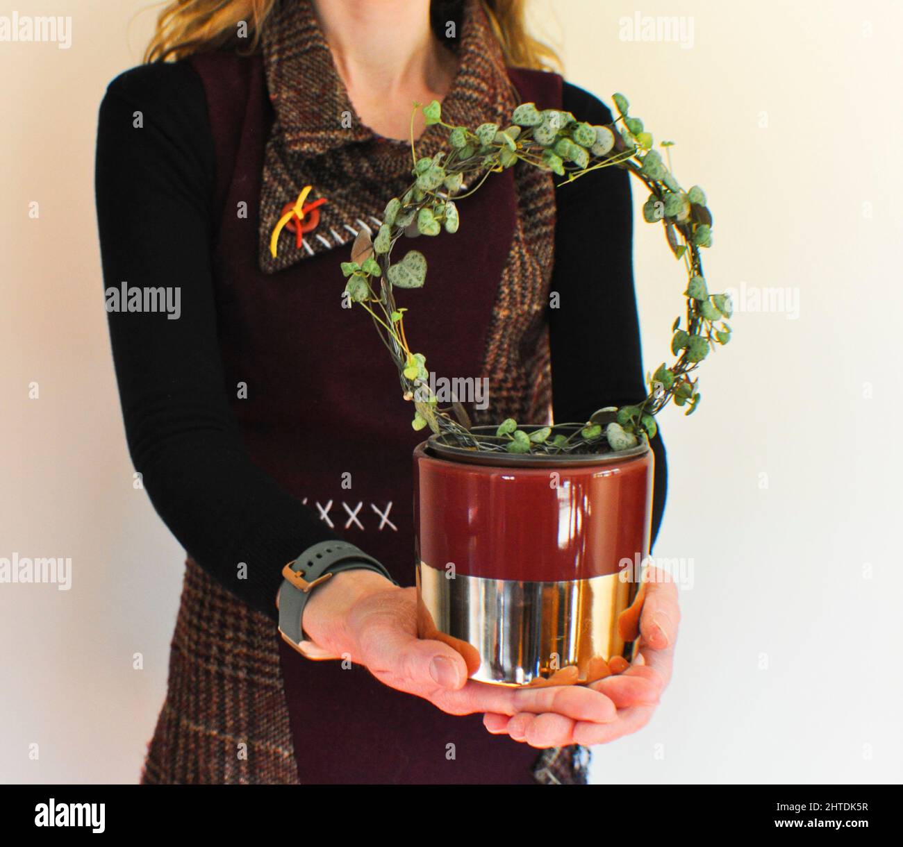 Una femmina che tiene una stringa di cuori houseplant (Ceropegia woodii) - pianta trainata che è stata addestrata a crescere intorno ad un anello di filo. Spazio di copia Foto Stock