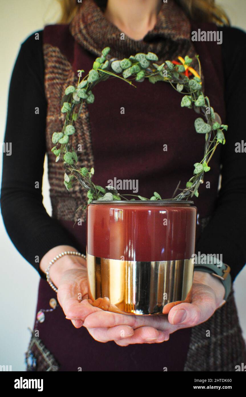 Una femmina che tiene una stringa di cuori houseplant (Ceropegia woodii) - pianta trainata che è stata addestrata a crescere intorno ad un anello di filo. Foto Stock