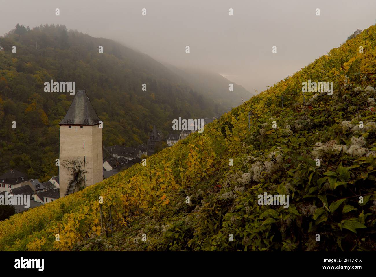 Città di Bacharach nel distretto di Mainz-Bingen, Renania-Palatinato, Germania, in una giornata di nebbia Foto Stock