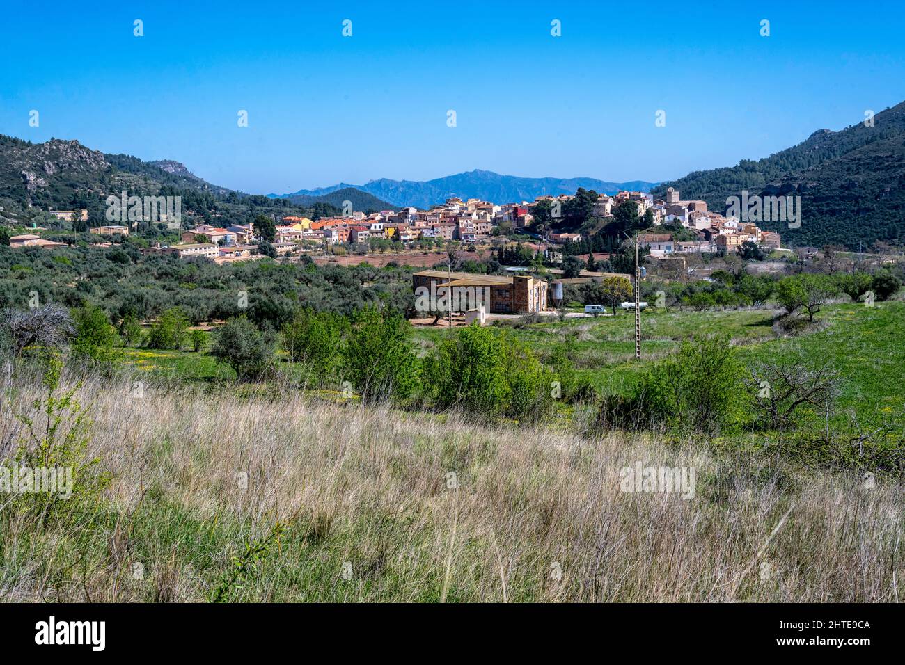 Alfara de Carles, Baix Ebre, Tarragona, Catalogna, Spagna. Foto Stock