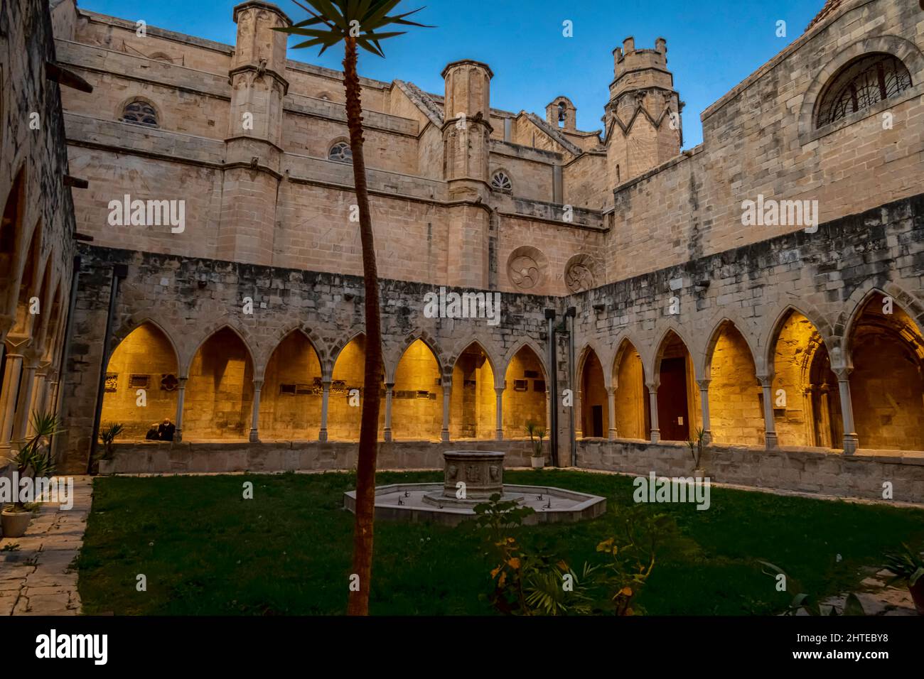 Chiostro della Cattedrale, Tortosa, Baix Ebre, Tarragona, Catalogna, Spagna. Foto Stock