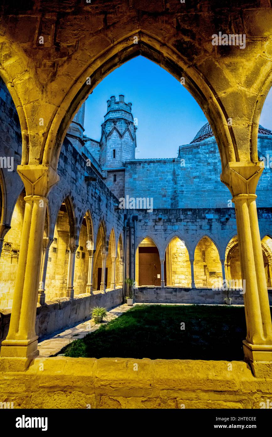 Chiostro della Cattedrale, Tortosa, Baix Ebre, Tarragona, Catalogna, Spagna. Foto Stock