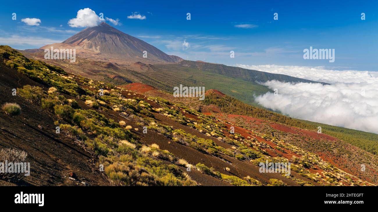 Vulcano Teide e Valle di Orotava - vista da Mirador la Crucita (Tenerife, Isole Canarie) Foto Stock