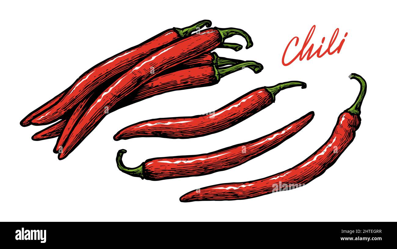 Set piccante Chili. Illustrazione del vettore Red Pepper Illustrazione Vettoriale