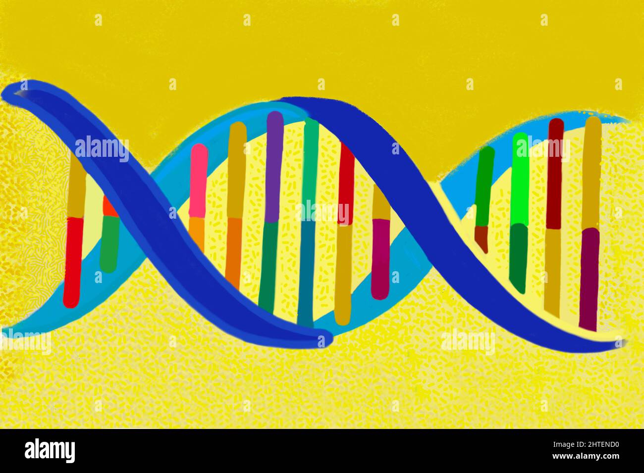 Illustrazione colorata della struttura del DNA Foto Stock