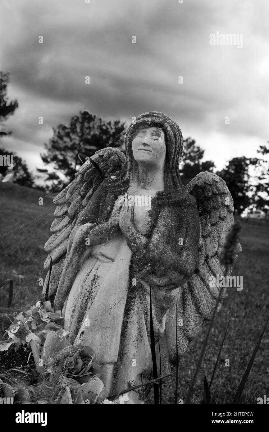 Preghiera angelo statua in un cimitero Foto Stock