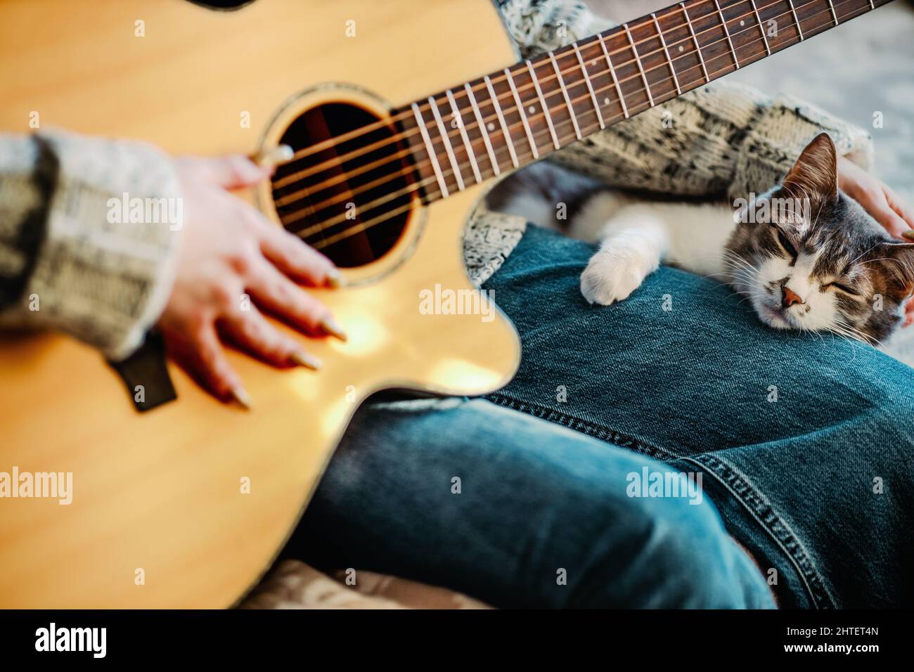 La ragazza si siede sul divano in camera e suona la chitarra per il gatto. Amicizia e amore per l'animale domestico. Ambiente caldo e accogliente. Foto Stock