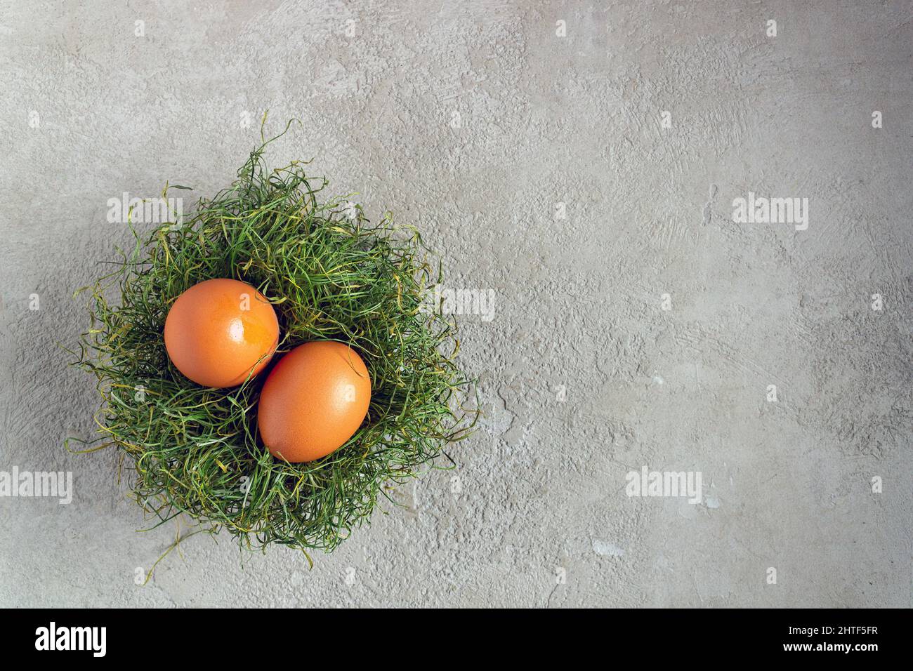due uova di pollo giacciono in un nido su gesso grigio, spazio per il testo Foto Stock