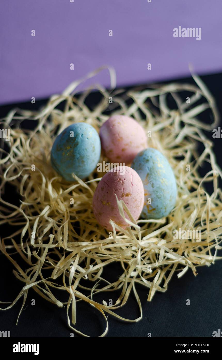 Nidificare con le uova sullo sfondo del veri Peri Foto Stock