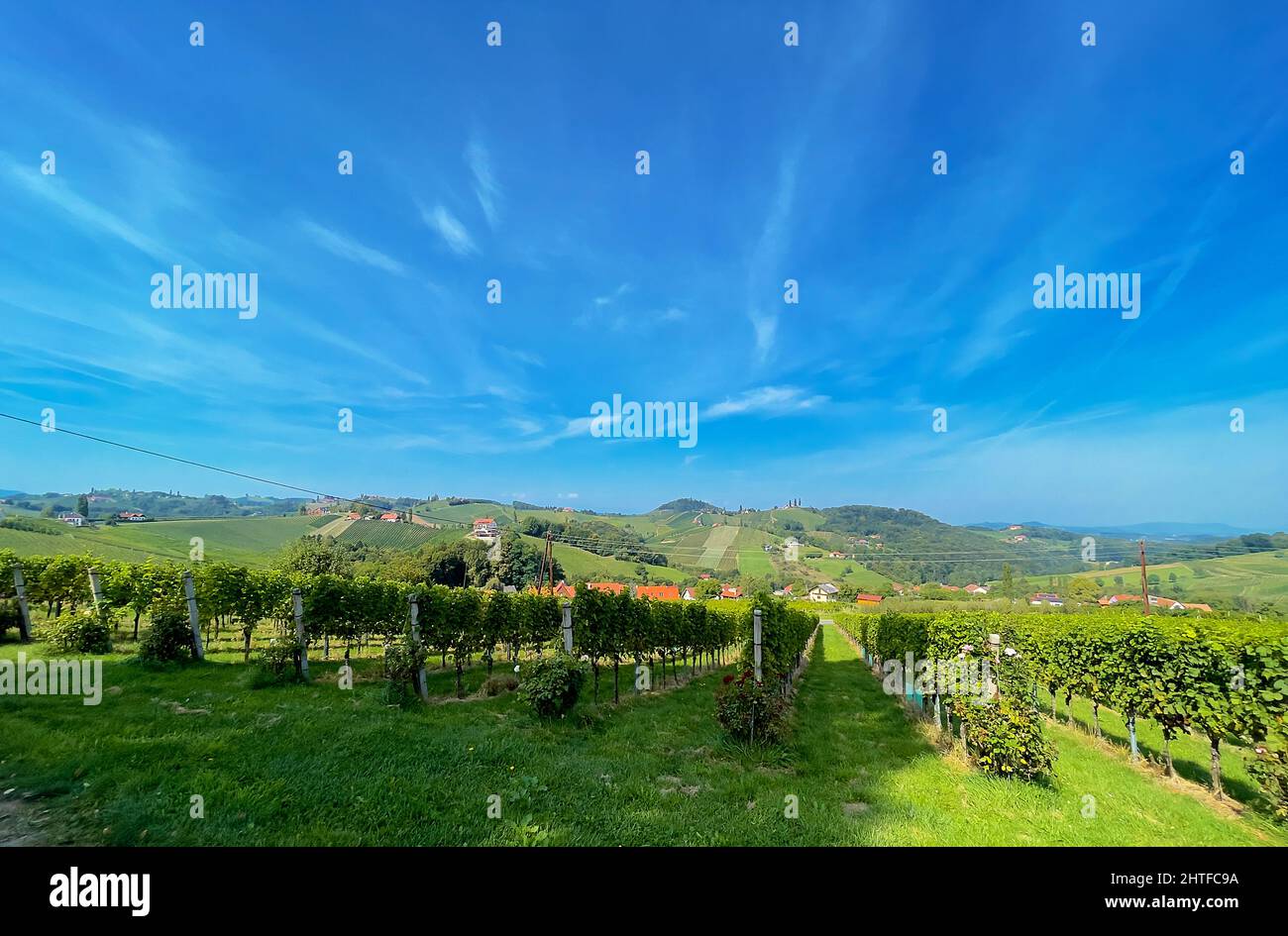 Regione viticola del sudost steiermark vulkanland austria Foto Stock